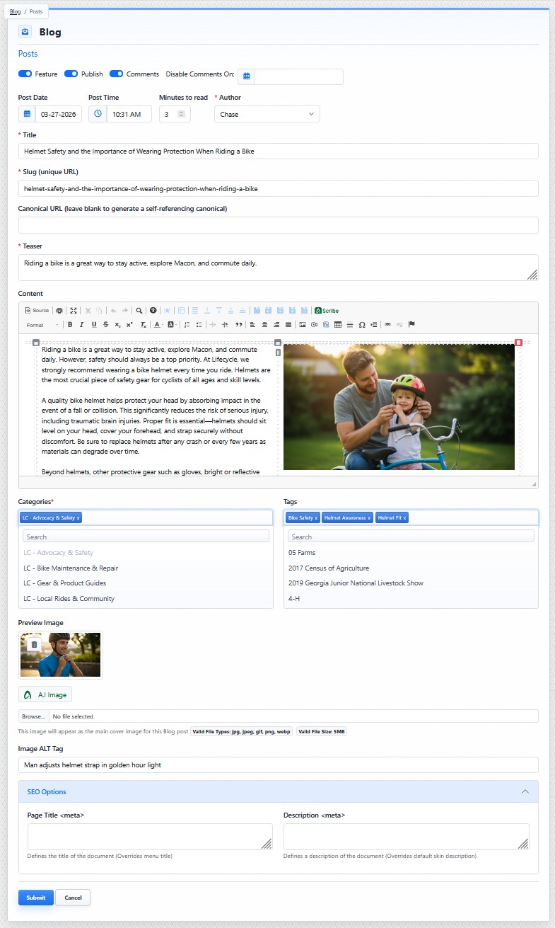 Blog post detail view