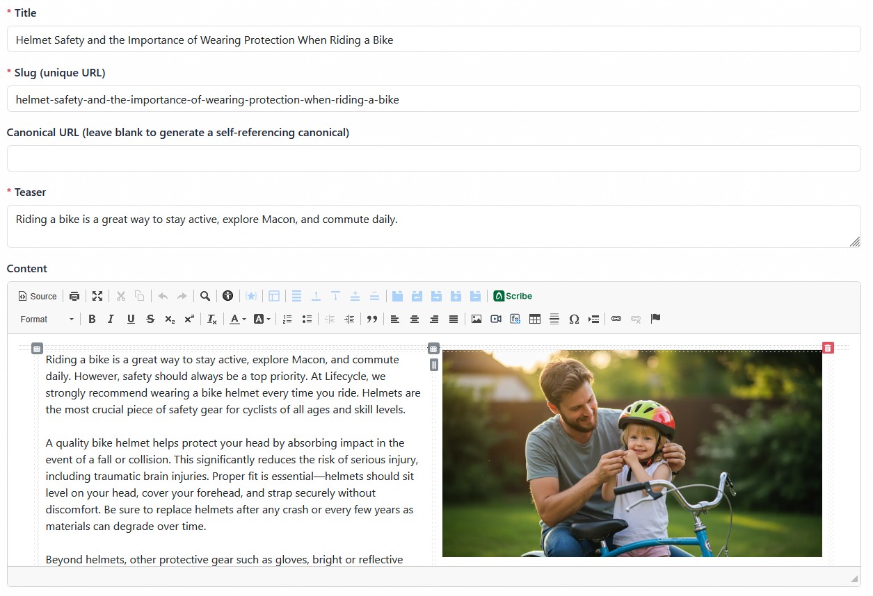 Blog post title, teaser, slug, canonical URL, and content editor