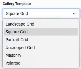 Gallery Template dropdown options
