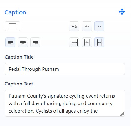 Slide caption fields